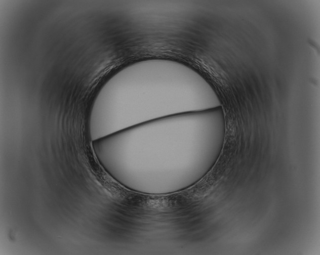 X0000091360744200709071302