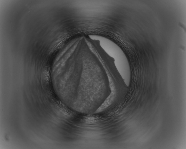 X0000091360746200709071302