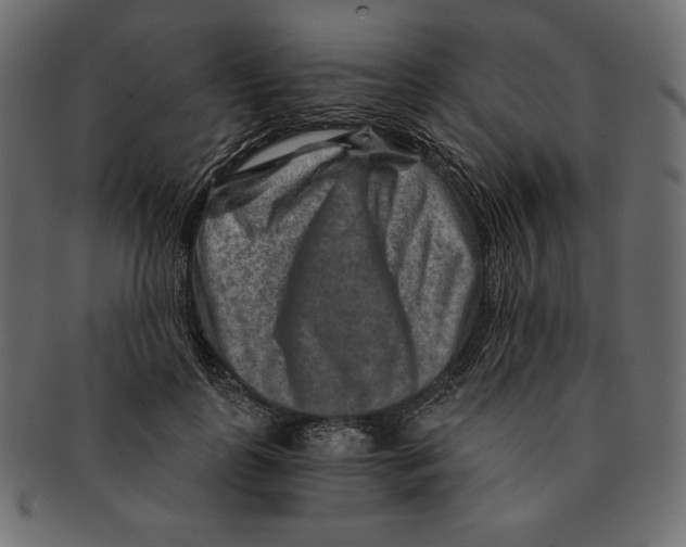 X0000091360747200709071302