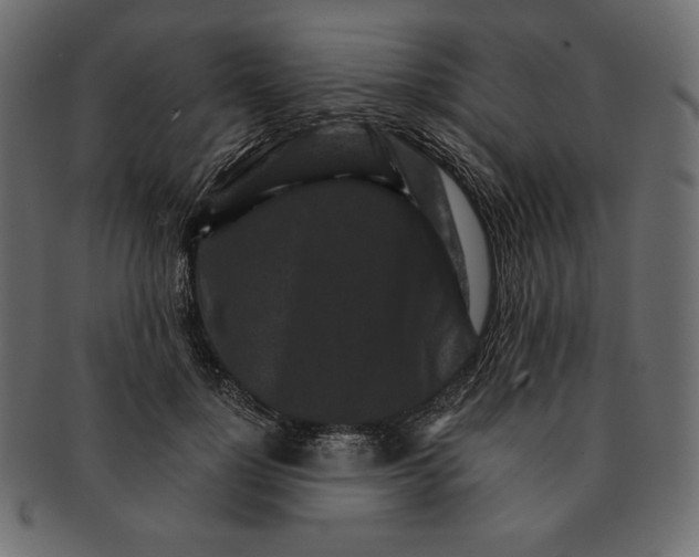 X0000091360748200709071302