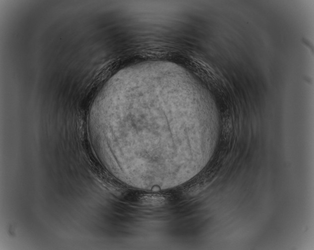 X0000091360749200709071302