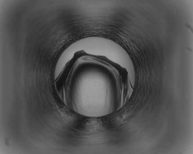 X0000091360750200709071302