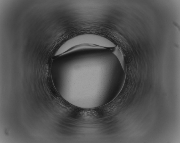 X0000091360752200709071302