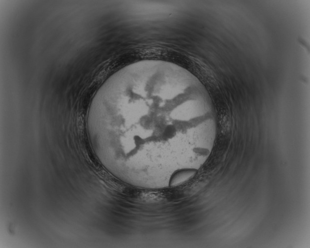 X0000091360753200709071302