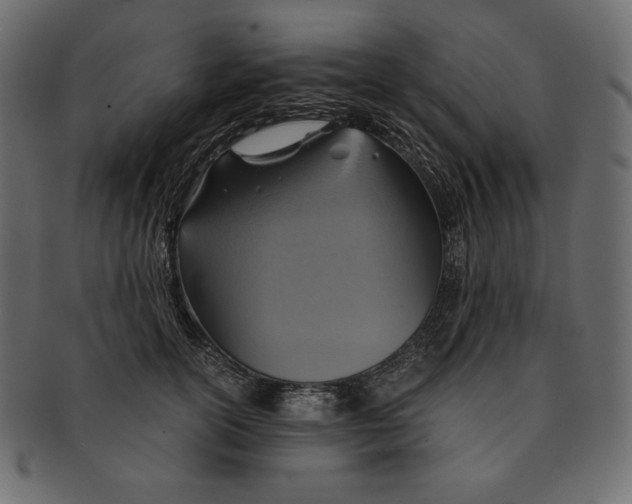 X0000091360754200709071302