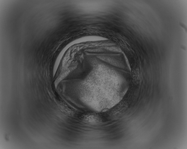 X0000091360755200709071302