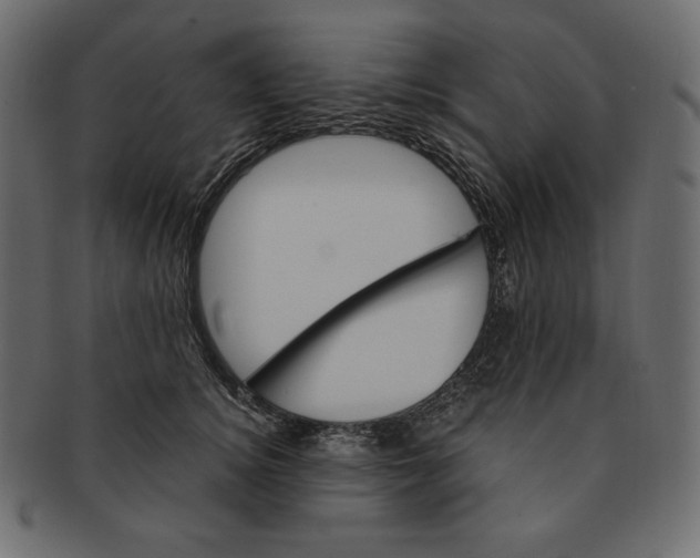 X0000091360756200709071302