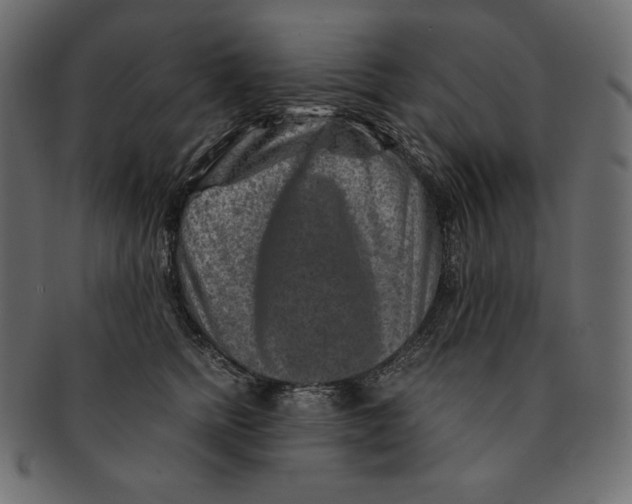 X0000091360758200709071302