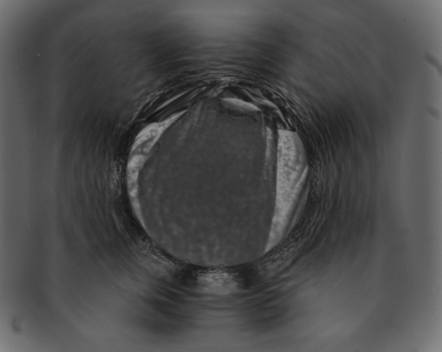 X0000091360759200709071303