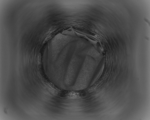 X0000091360760200709071303