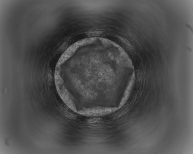 X0000091360761200709071303