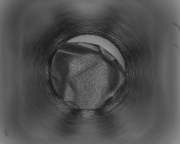 X0000091360762200709071303