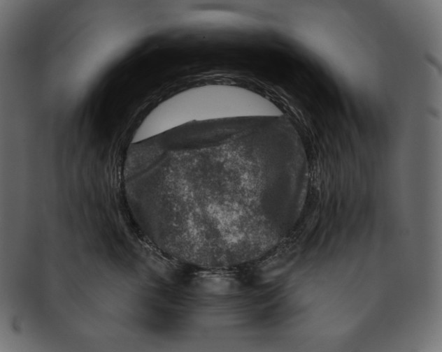 X0000091360763200709071303