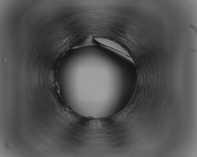 X0000091360764200709071303