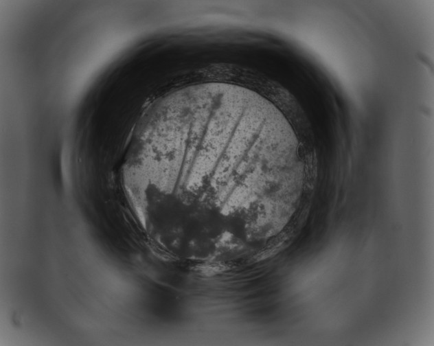 X0000091360765200709071303