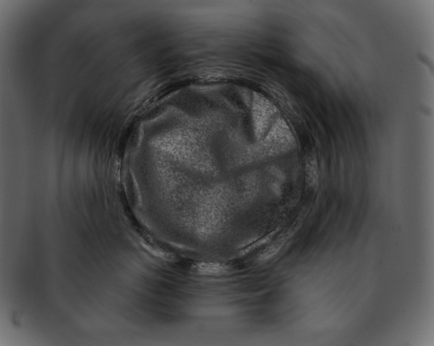 X0000091360766200709071303