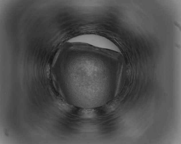 X0000091360767200709071303