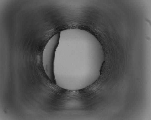 X0000091360768200709071303