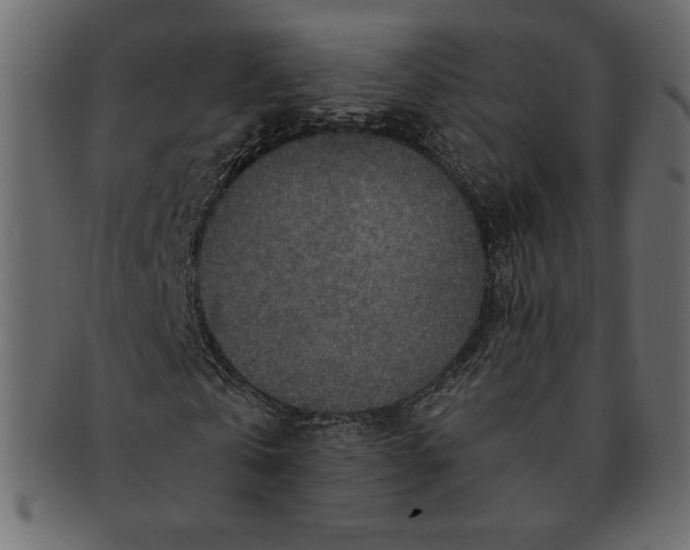 X0000091360769200709071302