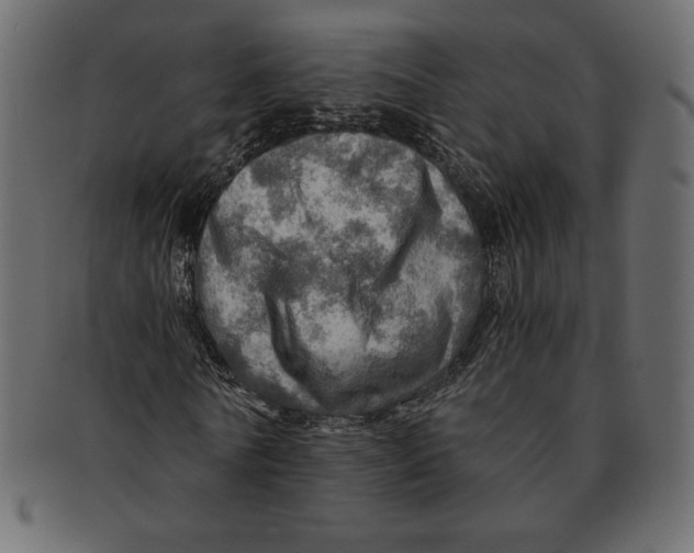 X0000091360770200709071302