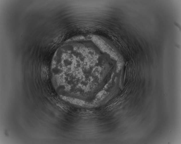 X0000091360772200709071302