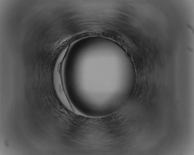 X0000091360773200709071302