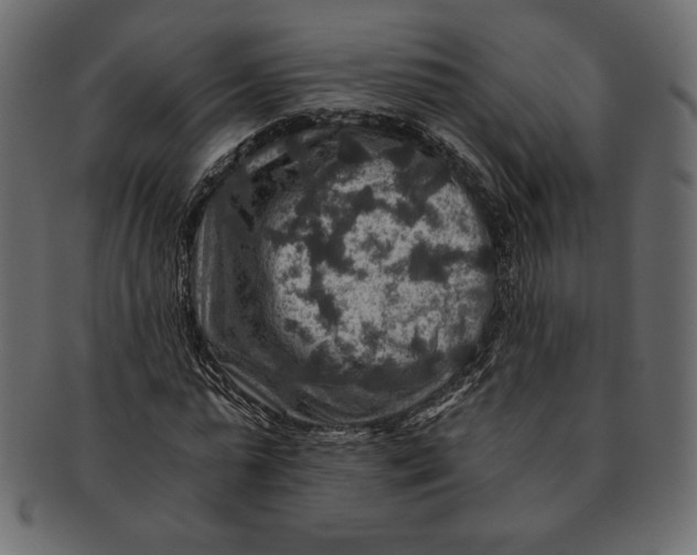 X0000091360775200709071302