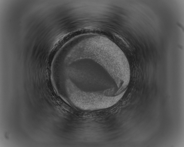 X0000091360776200709071302