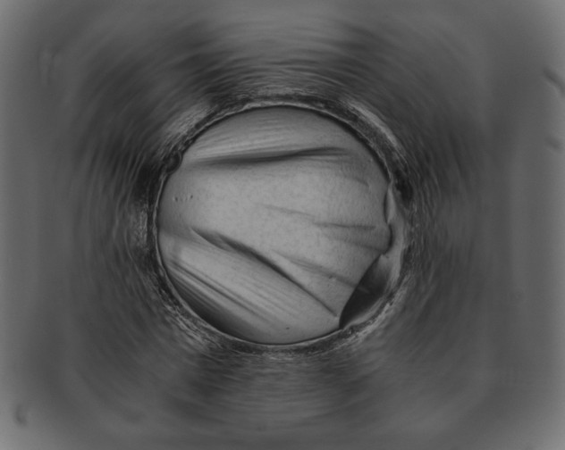 X0000091360777200709071302