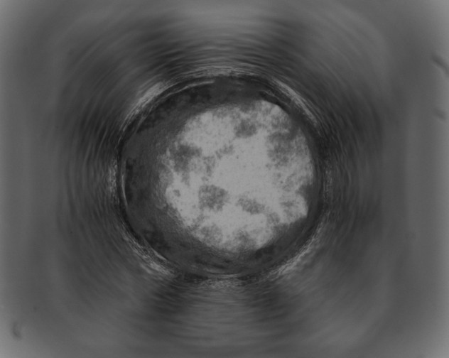 X0000091360778200709071302