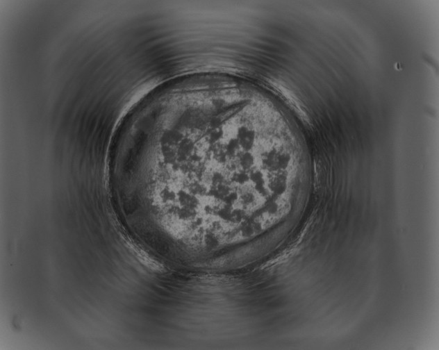 X0000091360780200709071302