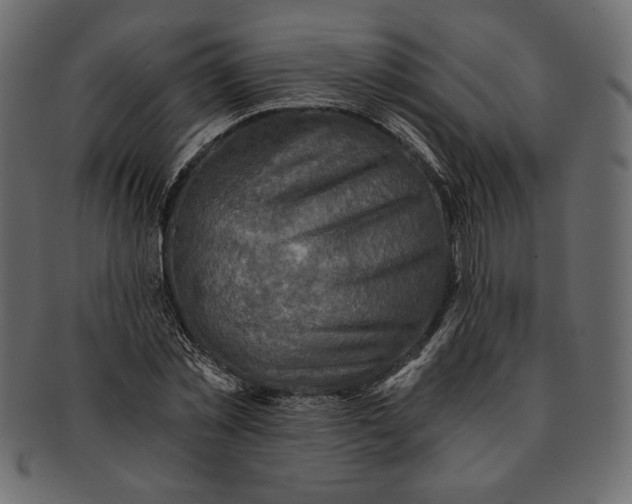 X0000091360781200709071302