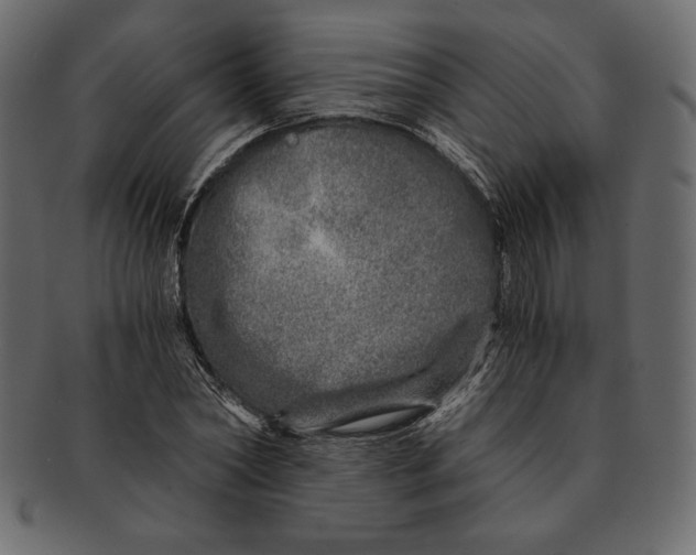 X0000091360782200709071302