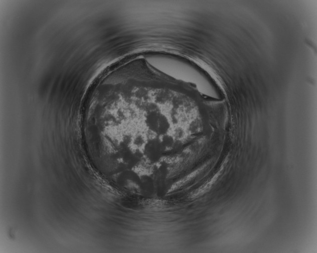 X0000091360783200709071302