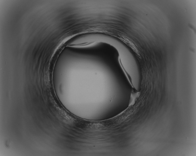 X0000091360784200709071302