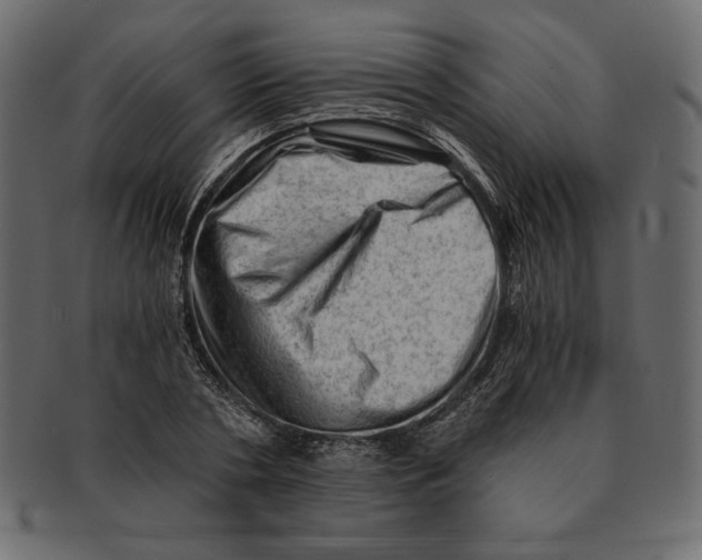 X0000091360786200709071302