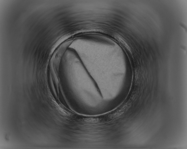 X0000091360789200709071302