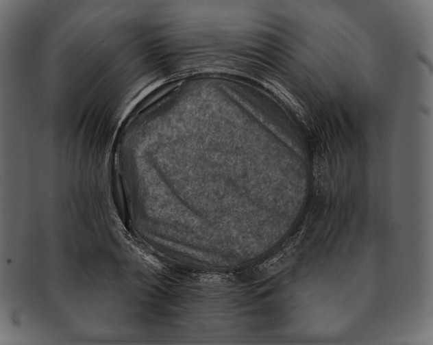 X0000091360790200709071302