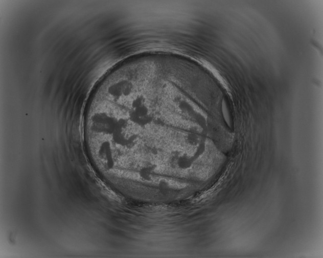 X0000091360791200709071302