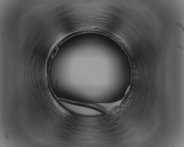 X0000091360792200709071302