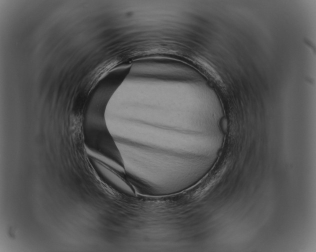 X0000091360793200709071302