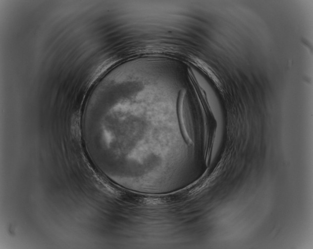 X0000091360794200709071302