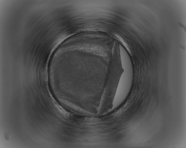 X0000091360795200709071302