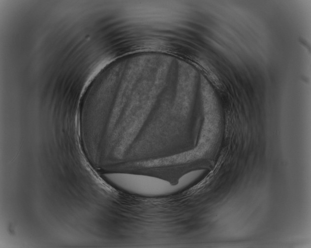 X0000091360796200709071302