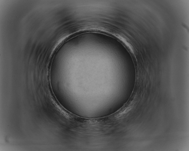 X0000091360799200709071302