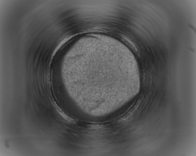 X0000091360800200709071302