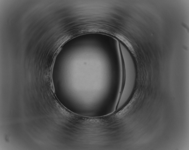 X0000091360801200709071302