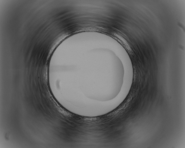 X0000091360804200709071302