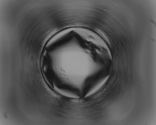 X0000091360805200709071301