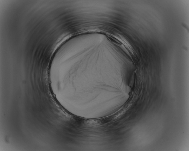 X0000091360806200709071301